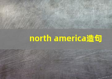 north america造句